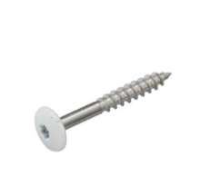 Afbeeldingen van Kleurkopschroef E-x T20 12 4.8x38 R.9010 ring